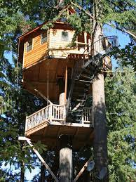 Amazing Treehouse Ideas