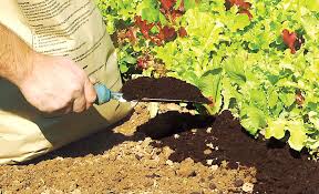 Types Of Soil The Home Depot
