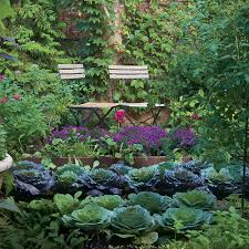 Who Says A Kitchen Garden Can T Be