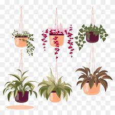 Hanging Plants Png Images Pngwing
