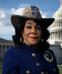 About Congresswoman Frederica Wilson