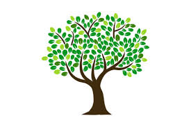 Olive Tree Icon Collections Graphic By