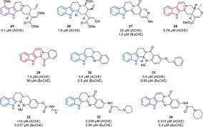 β Carboline As A Privileged Scaffold