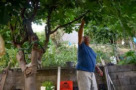 Italian Garden Project