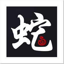 Snake Chinese Word Character