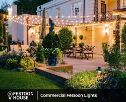 Outdoor Led Festoon Lights X 50cm