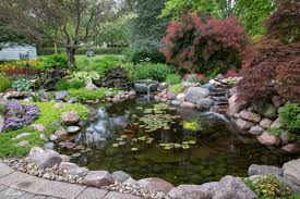 Water Features Ponds Pools Shade