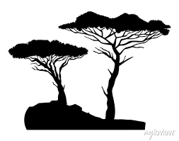 Black Silhouette Of Two Trees Baobabs