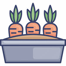 Carrot Garden Gardening Nature Pot