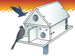 Purple Martin House Plans How To Build