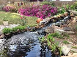 How To Create A Water Garden Garden Org