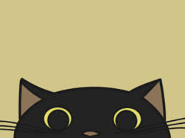 Free Vectors Cat Wallpaper Ilration