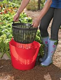 Garden Wish List Ideas Garden Plants