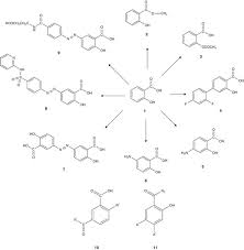 Salicylic Acid Derivatives Synthesis