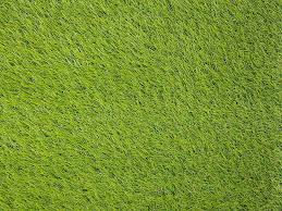 Artificial Turf Japanese Green Photo