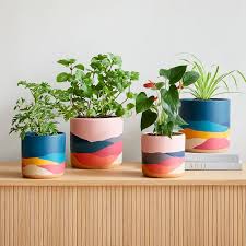 Indoor Terracotta Planter