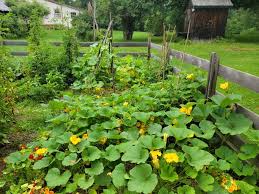 Master Gardener In Mckean County