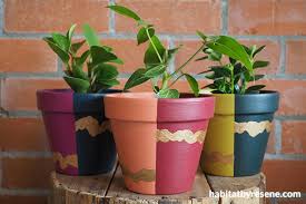 Make Your Own Colourful Plant Pots