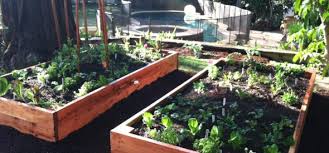Hope Gardens Diy Raised Redwood Bed