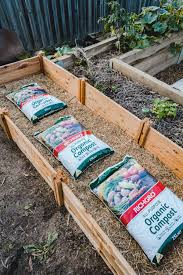 How To Start A Veggie Garden From