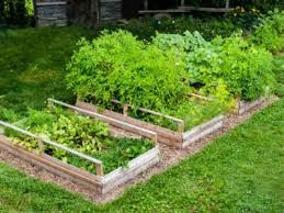 Disadvantages Of Raised Garden Beds