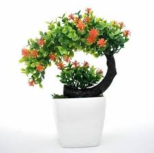 De Gardenia Bonsai Plant Orange 511