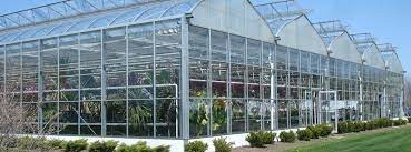 Commercial Greenhouse Design Structures