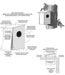 Barred Owl Nest Box Plan Maryland S