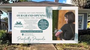 Coastal Cat Cafe Pensacola S First