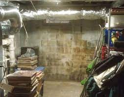How To Clean Mold On Basement Walls And
