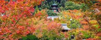Autumn Colours 紅葉 Japan S Best