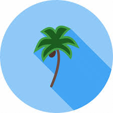Beach Coconut Palm Summer Tree