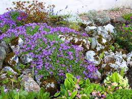 How To Make A Rockery Saga