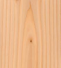 douglas fir the wood database softwood