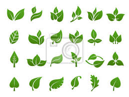 Green Leaves Logo Plant Nature Eco