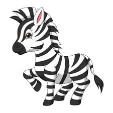 Zebra Png Transpa Images Free