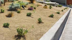 Pea Gravel Vs Decomposed Granite