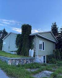 21 Pleasant St Corner Brook Nl A2h