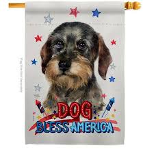 Haired Dachshund Dog House Flag