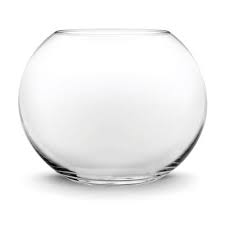 Glass Bubble Vase Terrarium