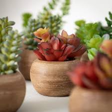 Artificial Mini Potted Succulent Set