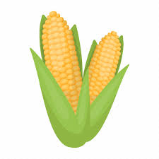Corn Food Harvest Maize Plant