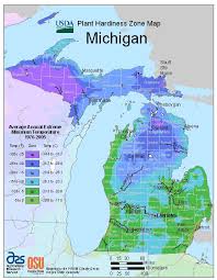Michigan Vegetable Planting Calendar
