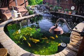 25 Homemade Diy Pond Ideas For Backyard