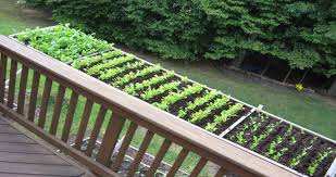 Vegetable Garden Planters Irrigation