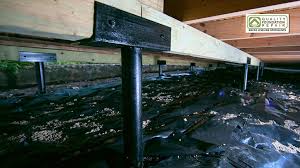 a pier and beam foundation repair cost