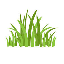 Eco Green Grass Grass Icon Silhouette