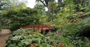 Visit Abbotsbury Subtropical Gardens