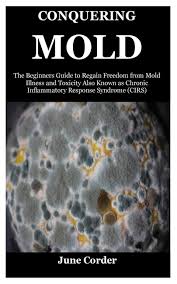 Conquering Mold The Beginners Guide