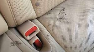 Remove Grease From Leather Car Seats